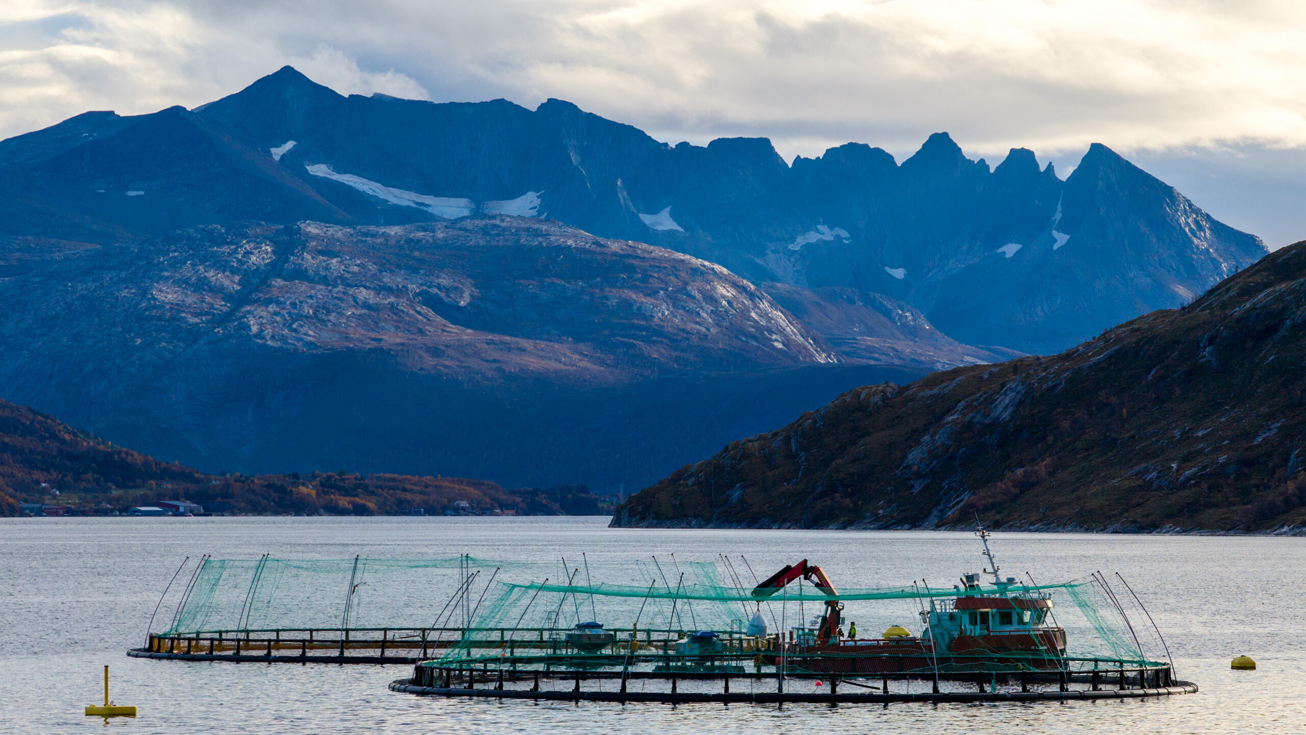 Arctic Seafood Group